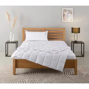 Пуховое одеяло + подушка «TAMINS, пуховое одеяло 135х200 см и 155х220 см, 2 шт.», (экономный комплект), комплект с подушками 40х80 см, 80х80 см, лето, зима, производство Германия Home Affaire, белый