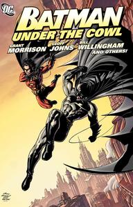 Batman Under The Cowl TP (DC Comics)