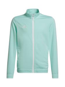 Спортивная куртка ADIDAS PERFORMANCE Entrada 22, зеленый