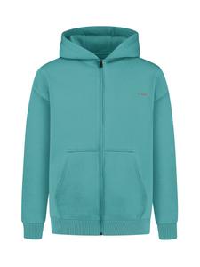 Толстовка с капюшоном на молнии Smilodox, синий