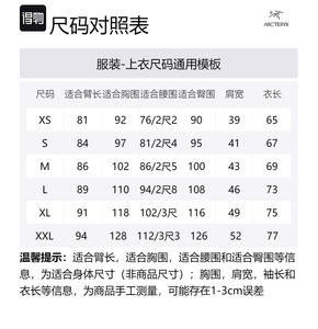 Свитшот RHO с воротником стойкой, мужской, умеренно свободный, обычный Arcteryx, bordeaux красный/bordeaux