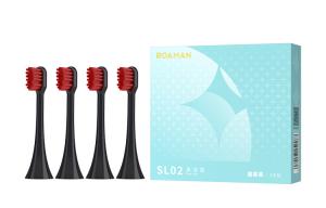 Сменные насадки для зубной щетки ROAMAN, черный