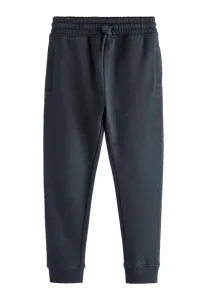 Спортивные штаны Next, Dark Blue