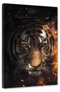 Картина на холсте Hustling Sharks Tiger Sparkles, оранжевый