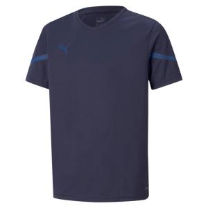 Детская футболка Puma teamFLASH Jersey Jr 704395