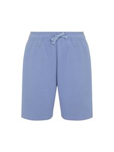 Обычные брюки DICKIES MAPLETON, лазурный