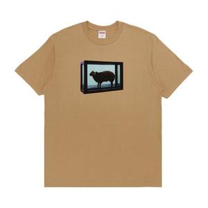 Футболка Supreme x Damien Hirst Tee, Khaki
