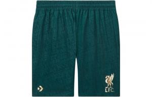 Спортивные шорты мужские зеленые Converse, зеленый