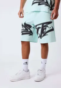 Шорты Project X Paris, Vert Menthe