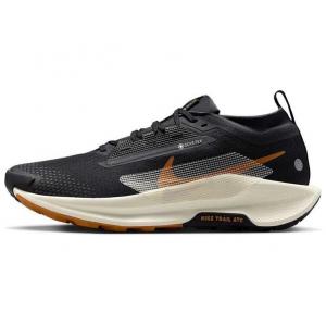 Nike Кроссовки Pegasus Trail 5 Gore Tex Off Noir Black Monarch Pale Ivory