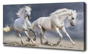 Фреска Tulup Strand weiße Pferde, белый