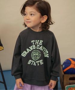 Тренажер для вариаций обучения в колледже (можно настроить)