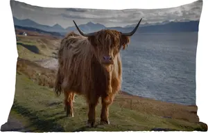 Подушка для улицы - шотландский высокогорный скот - горы - море - 50 x 30 см - водонепроницаемая - подушка для отдыха - подушка для дивана - украшение для гостиной MuchoWow