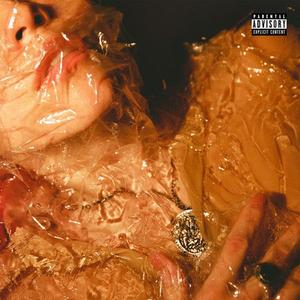 Виниловая пластинка Now Now: Saved