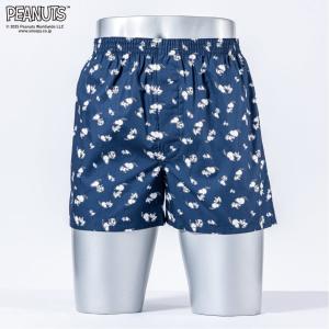 Арахис / (М) Арахис Транкс / 25F / Поместите Снупи