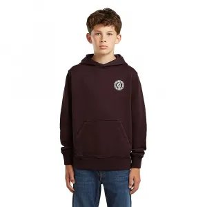 Худи G-Star Bren, коричневый