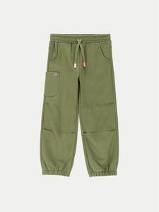 Спортивные брюки стандартного кроя Coccodrillo, зеленый