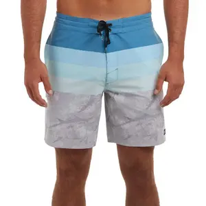 Шорты для плавания Pelagic Cortez Open Seas Print, синий