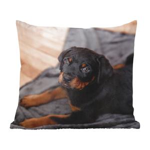 Декоративная подушка MuchoWow Диванная подушка Декоративная подушка для гостиной 60 x 60 см Щенок ротвейлера на черном ковре - Чехол на подушку - Хлопчатобумажная ткань - Декоративные наволочки