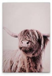 Картина на холсте A.S. Création Highland Cattle 1 цвет cremebeige