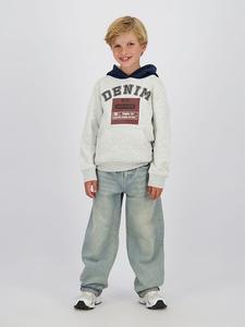 Толстовка серого цвета Vingino