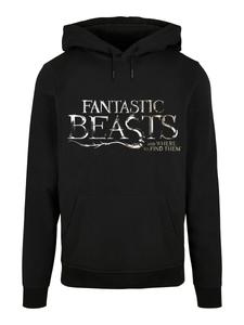 Толстовка F4NT4STIC Fantastic Beasts And Harry Potter, черный