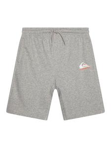 QUIKSILVER Штаны Regular 'Easy Day' в крапчатом сером