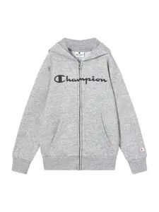 Толстовка с капюшоном на молнии Champion Authentic Athletic Apparel, серый