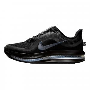 Женские кроссовки Nike Pegasus Premium Black/Black - Metallic Silver HQ2593-004