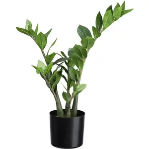 Creativ green Искусственное комнатное растение «Замифолия» с детализированными листьями, зеленый