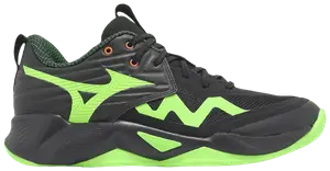 Кроссовки Mizuno Wave Momentum Pro, черный