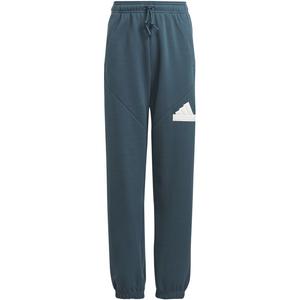 Логотип Hose Future Icons Adidas, мультиколор