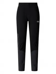 Брюки Felik со вставками The North Face, черный