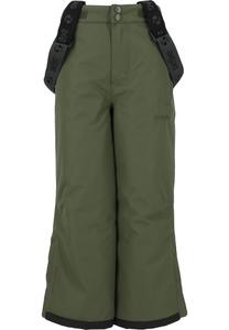 Обычные спортивные штаны ZigZag Soho, зеленый