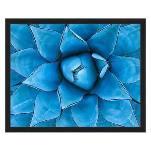 Картина Any Image Blue Agave, 52x42x2,6 см