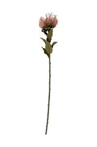 Искусственный цветок настоящего времени Protea Flower L Present Time, мультиколор