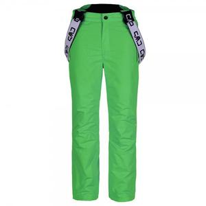Лыжные брюки Salopette Campagnolo, зеленый