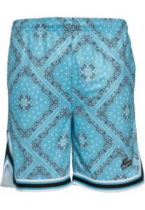 Шорты Karl Kani Loose fit Pants, цвет cyan blue