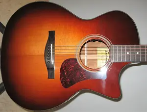 Акустико-электрогитара Eastman AC222CE-DLX-GB с чехлом 2025 - Голдберст