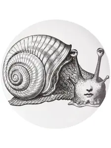 Настенная тарелка variazioni n.260, 26 см, Fornasetti, белый