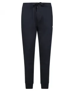 Спортивные штаны в повседневном стиле Polo Ralph Lauren, синий