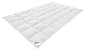 Fjödur средне-теплое пуховое одеяло из органического хлопка 155х220см "fjödur green Fortuna" 90% пух 100% органический хлопок Otto Keller