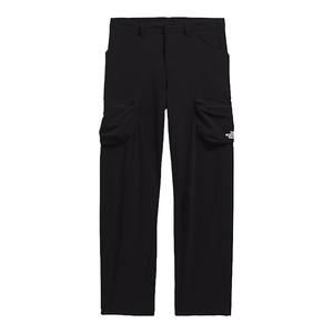Повседневные брюки мужские THE NORTH FACE, черный