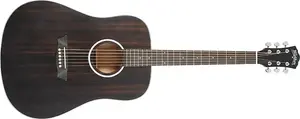 Акустическая гитара Washburn DFED-U Deep Forest Dreadnought. Полосатый эбен
