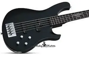 Бас-гитара Schecter Johnny Christ-5 - Сатиновый черный (278)