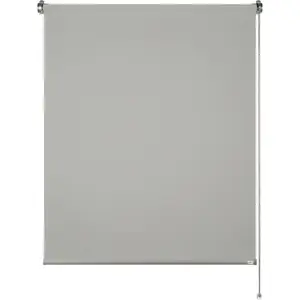 Коллекция SCHÖNER WOHNEN Рулонная штора с боковым управлением Дневной ролет Tizia непрозрачная, защита от посторонних взглядов, установка с сверлением/без сверления, свободно висящая Schöner Wohnen-Kollektion, светло-серый