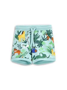 Спортивные шорты обычного кроя WC5121503TBN Coccodrillo, зеленый