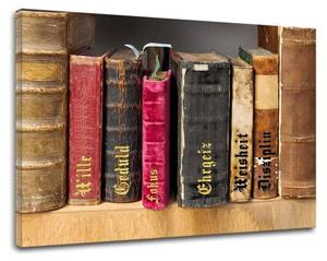 Картина на холсте Hustling Sharks Bibliothek des Erfolges, красный