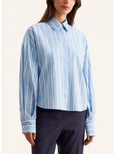 Seidensticker Рубашка светло-голубого/белого цвета