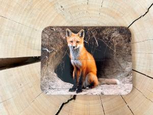 Лиса, деревянный пазл с четырьмя элементами, основа с подписью, первый пазл Inna marka